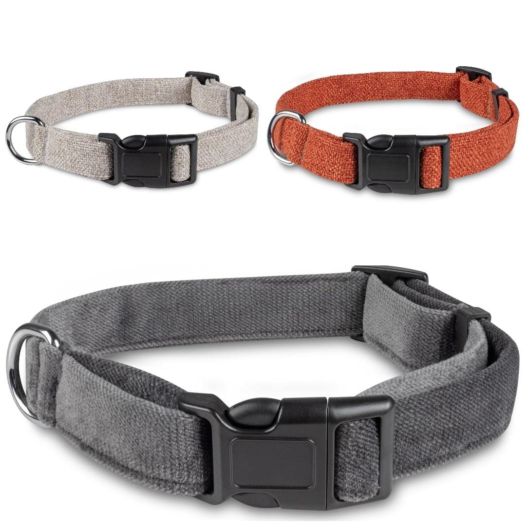 Dog Collars